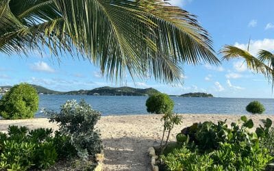 Case sulla spiaggia in vendita ai Caraibi