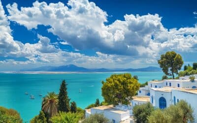 Quanto costa una casa in affitto ad Hammamet?