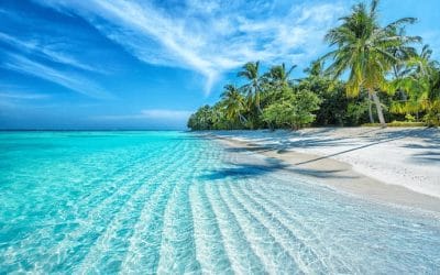 5 falsi miti da sfatare sul trasferimento all’estero